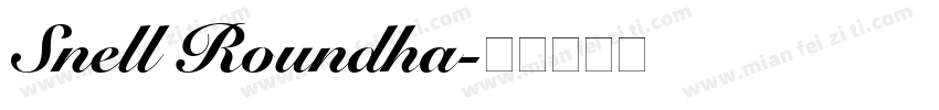 Snell Roundha字体转换